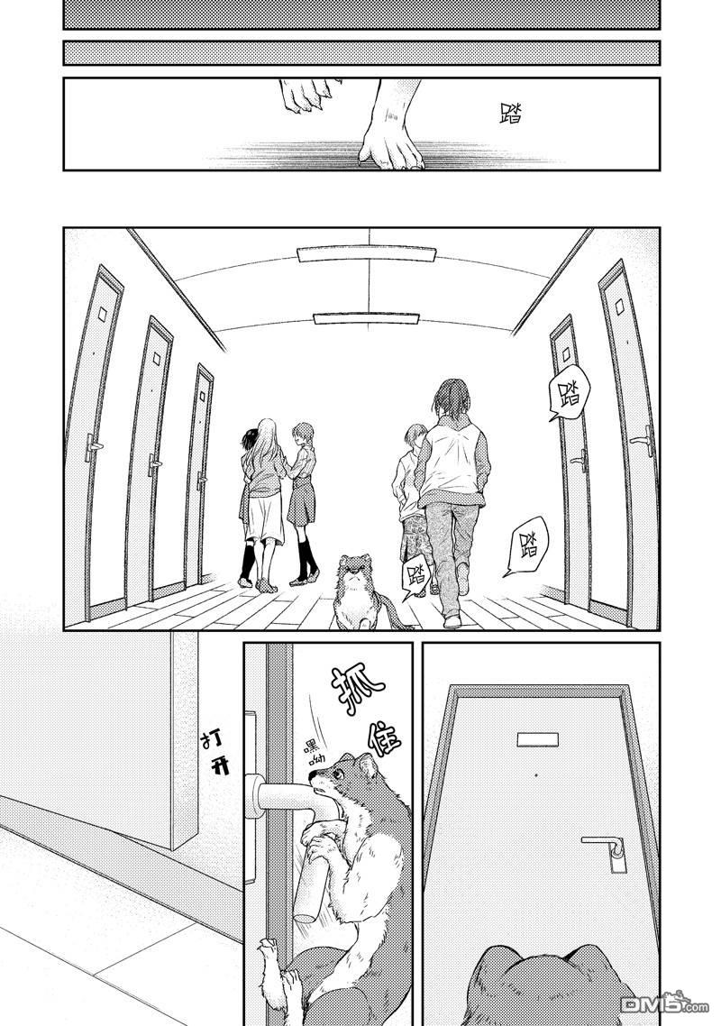 11.jpg