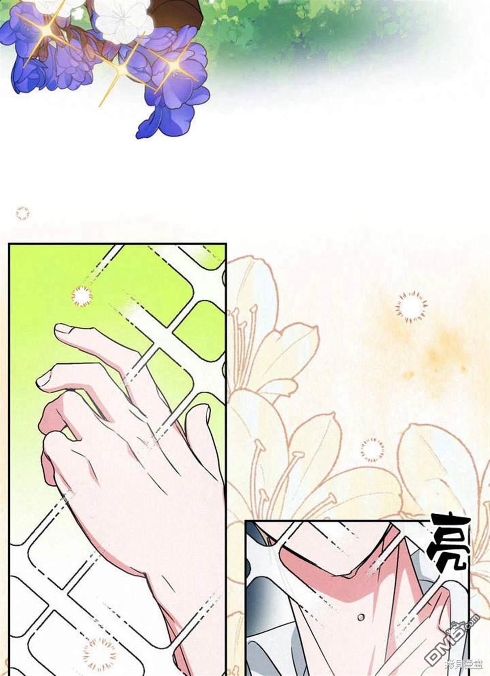 81.jpg