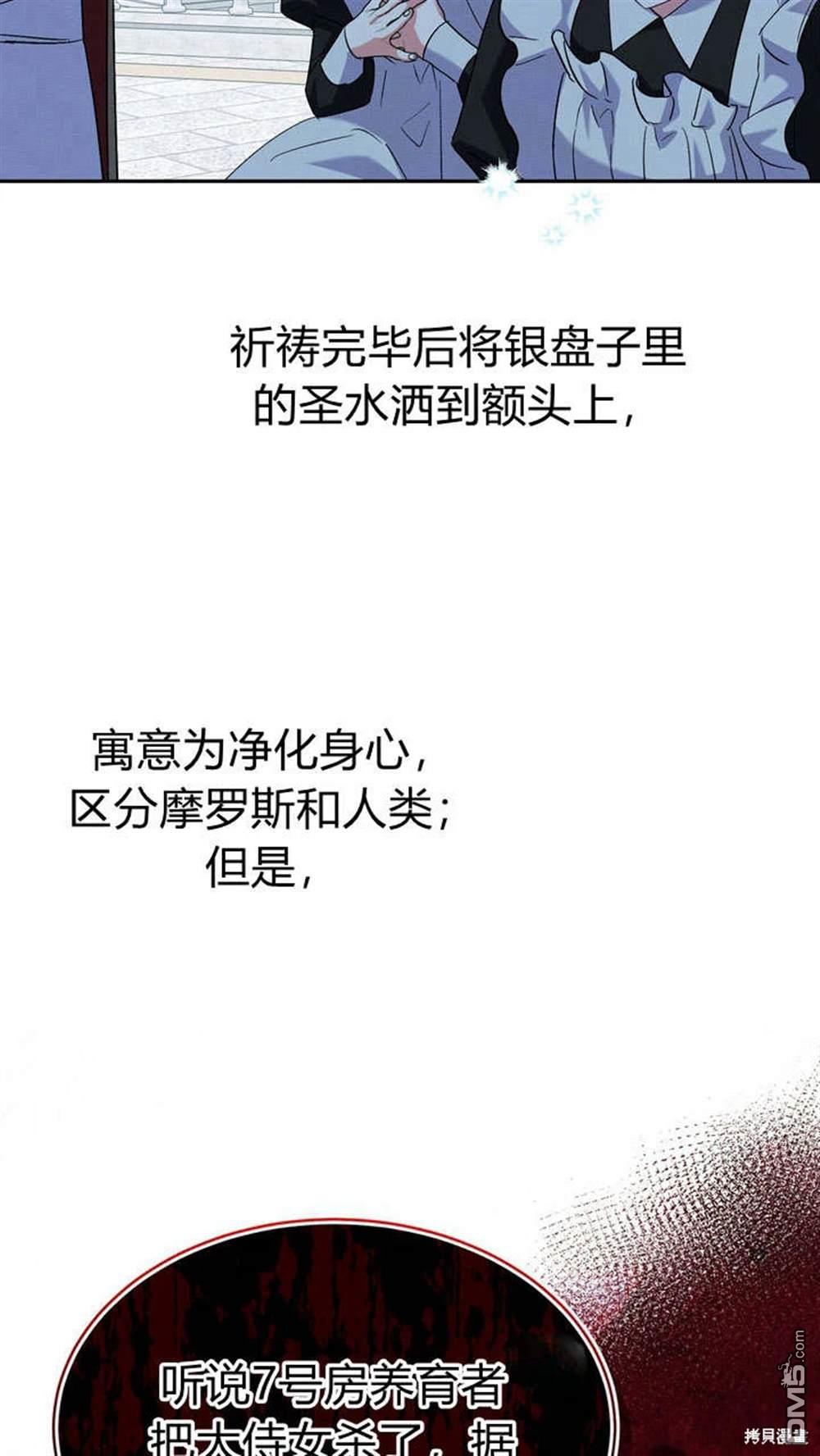 52.jpg