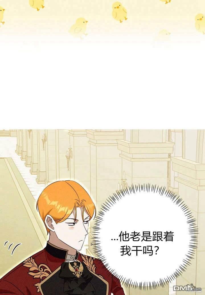 51.jpg