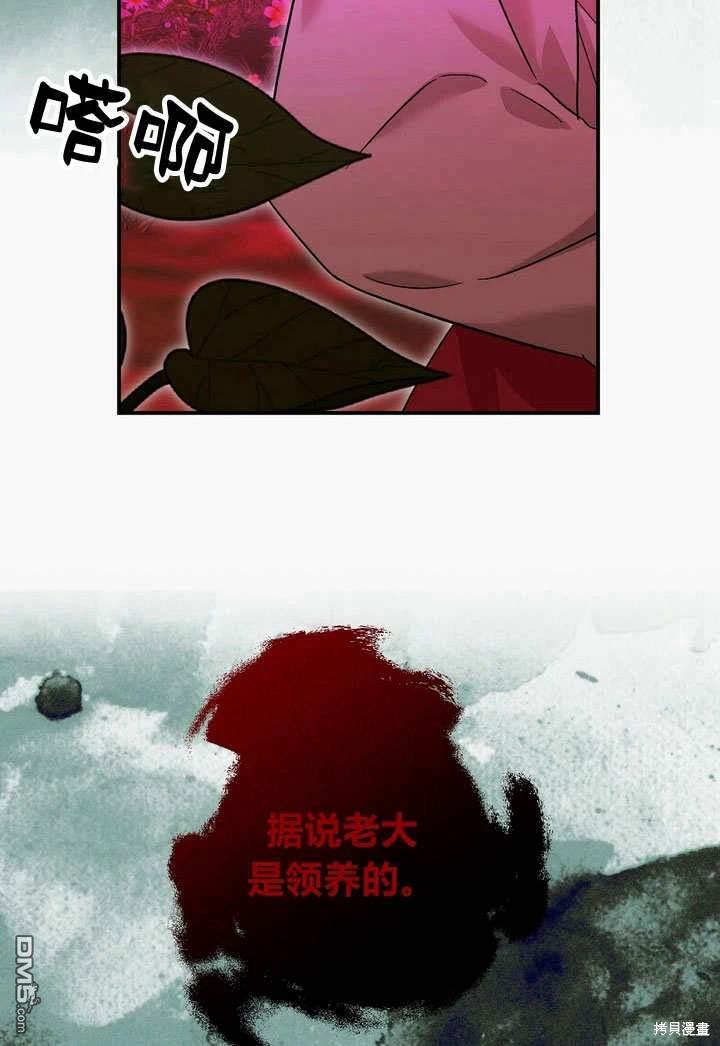 29.jpg