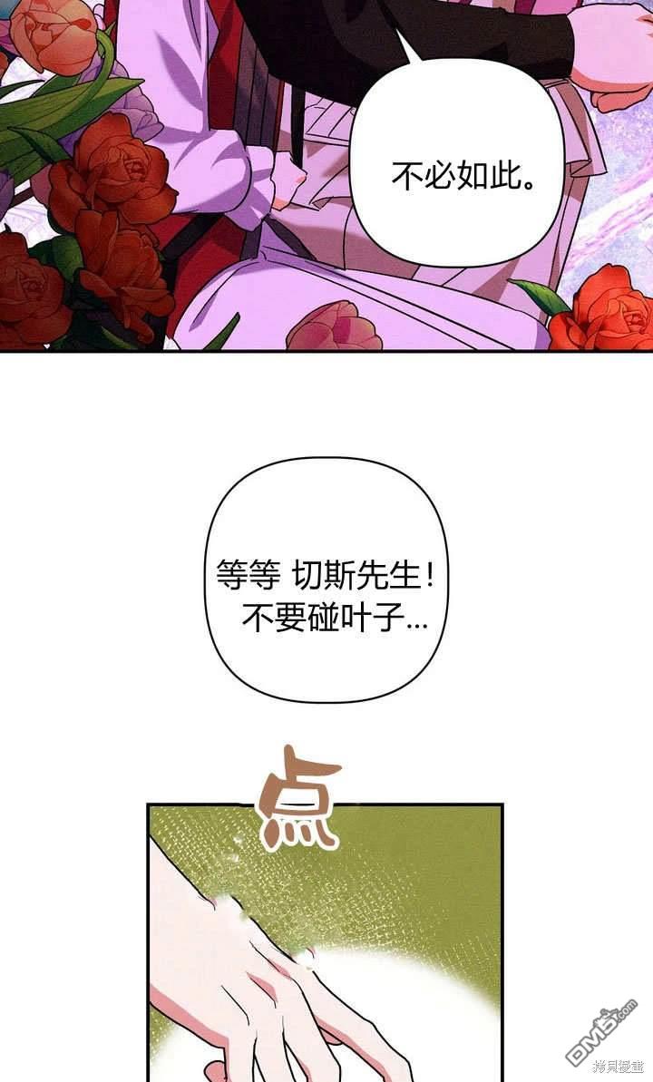 58.jpg