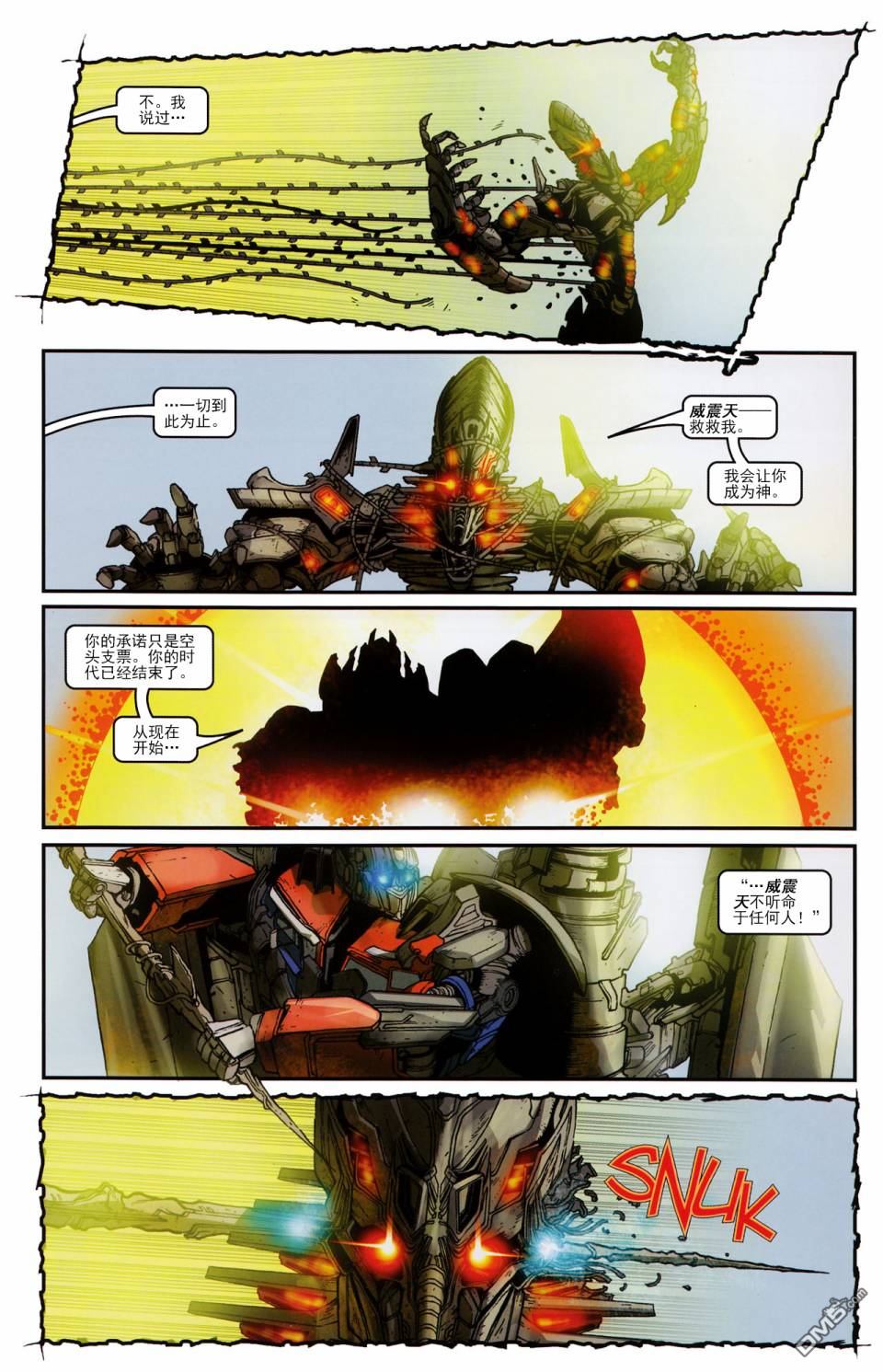 24.jpg