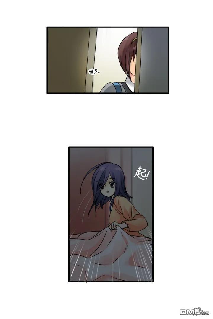 29.jpg