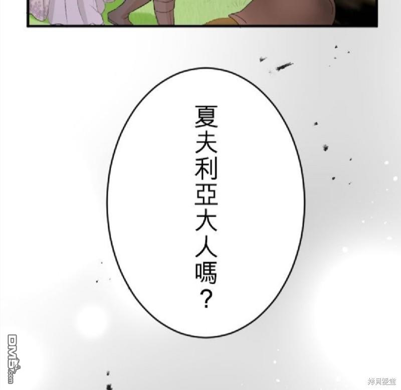 91.jpg