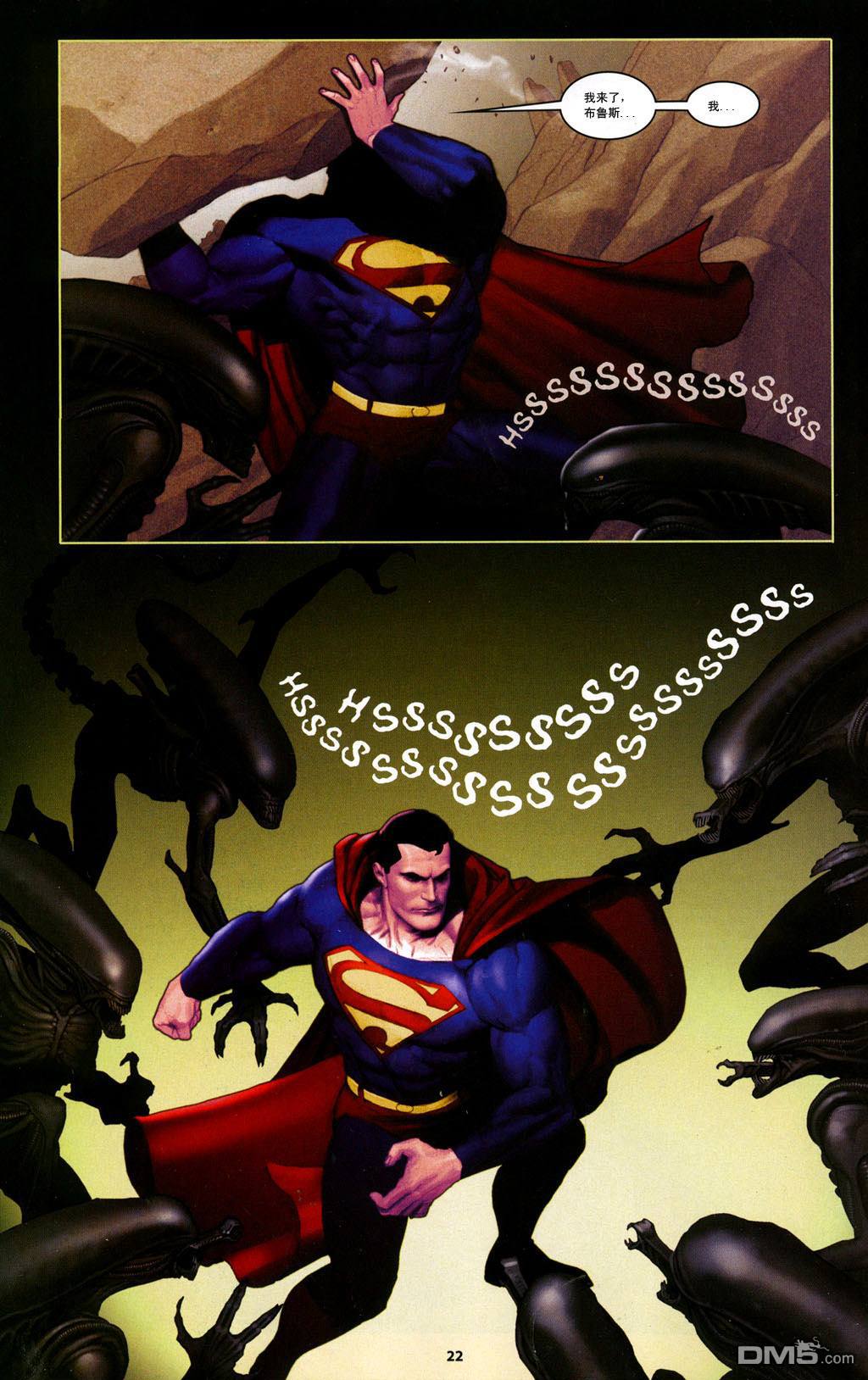 24.jpg