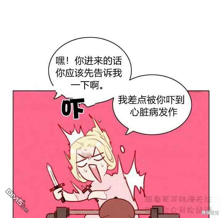 41.jpg
