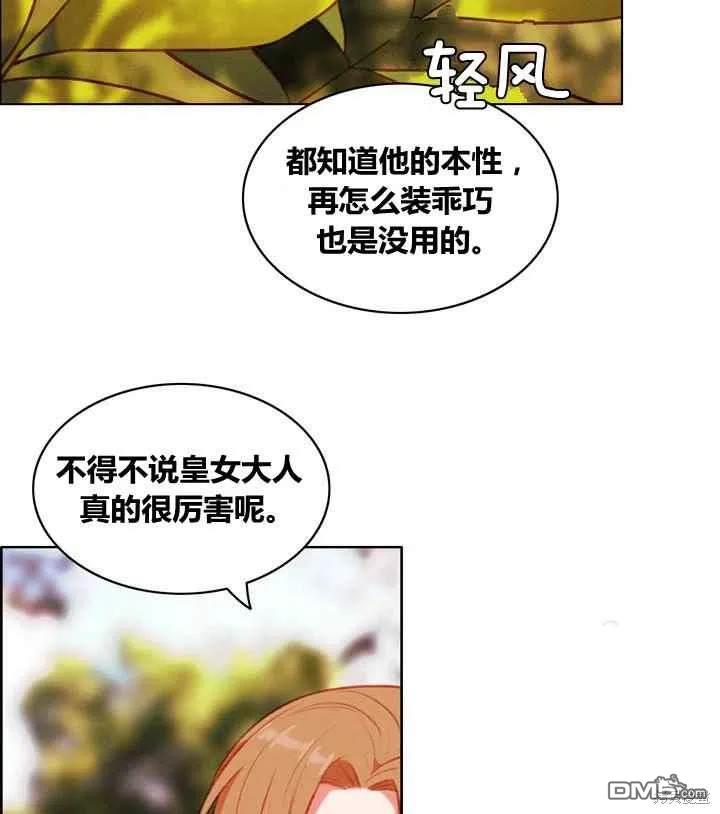 48.jpg