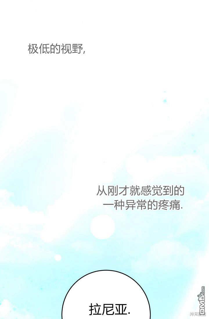 113.jpg