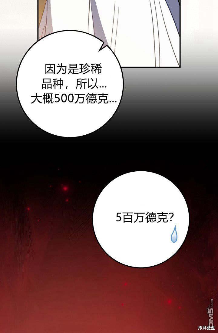66.jpg
