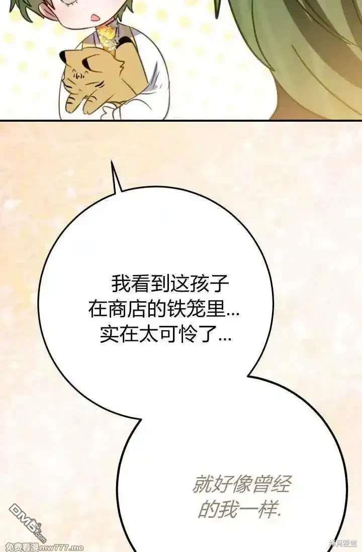 42.jpg