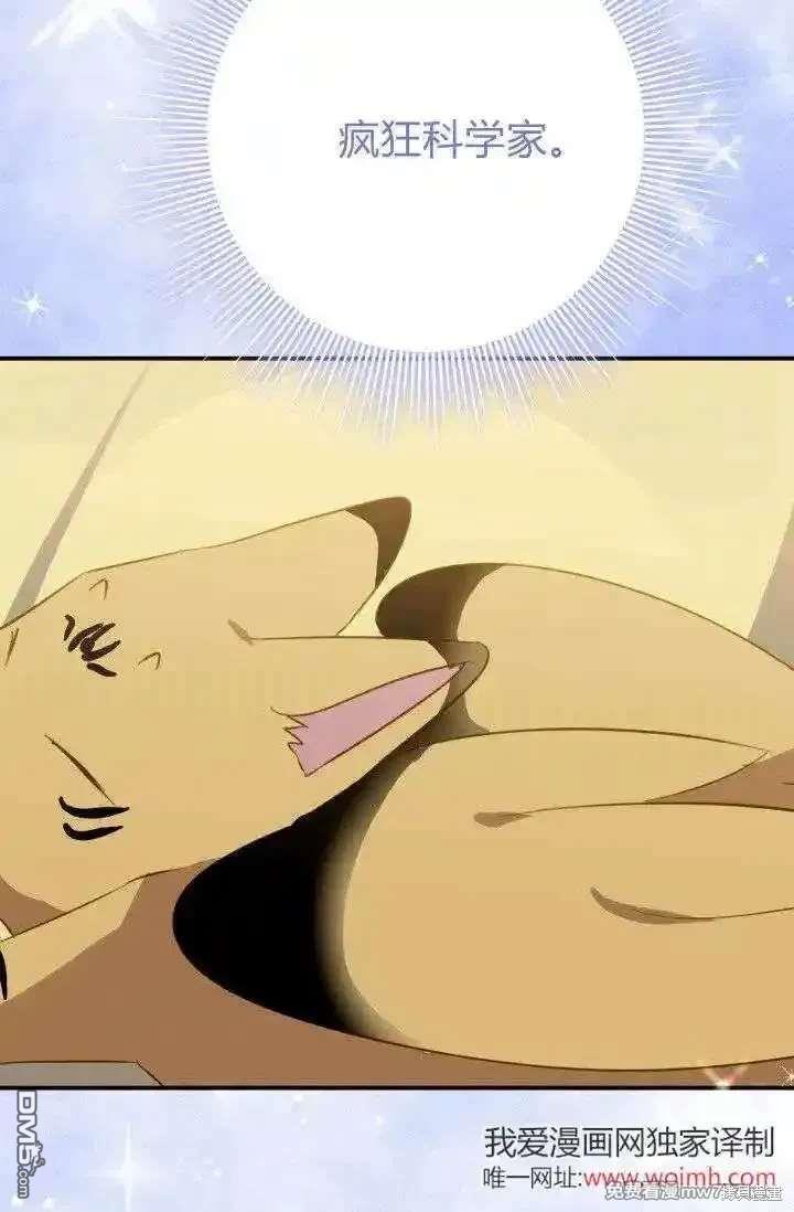62.jpg