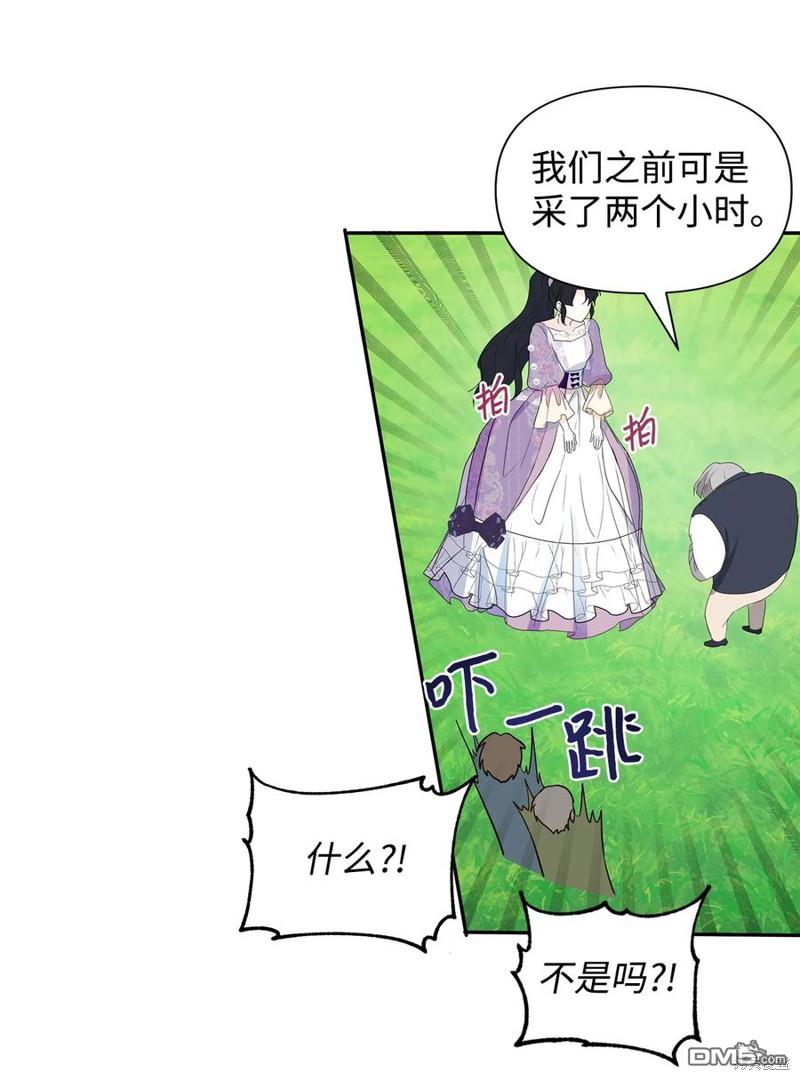 52.jpg