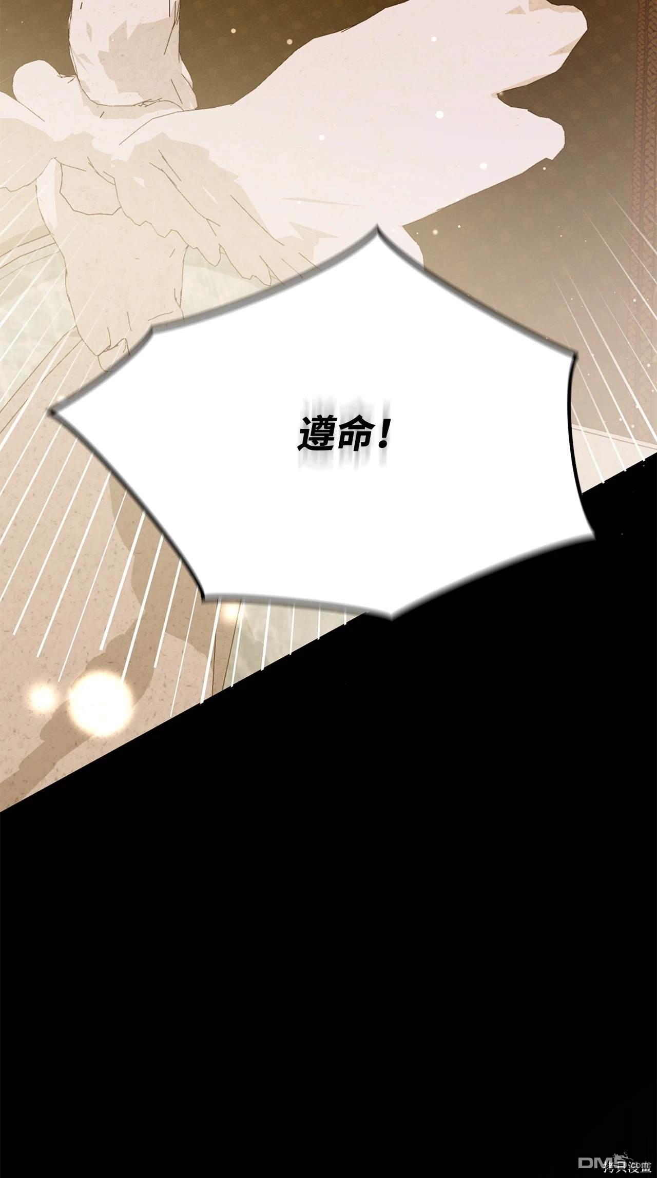 96.jpg