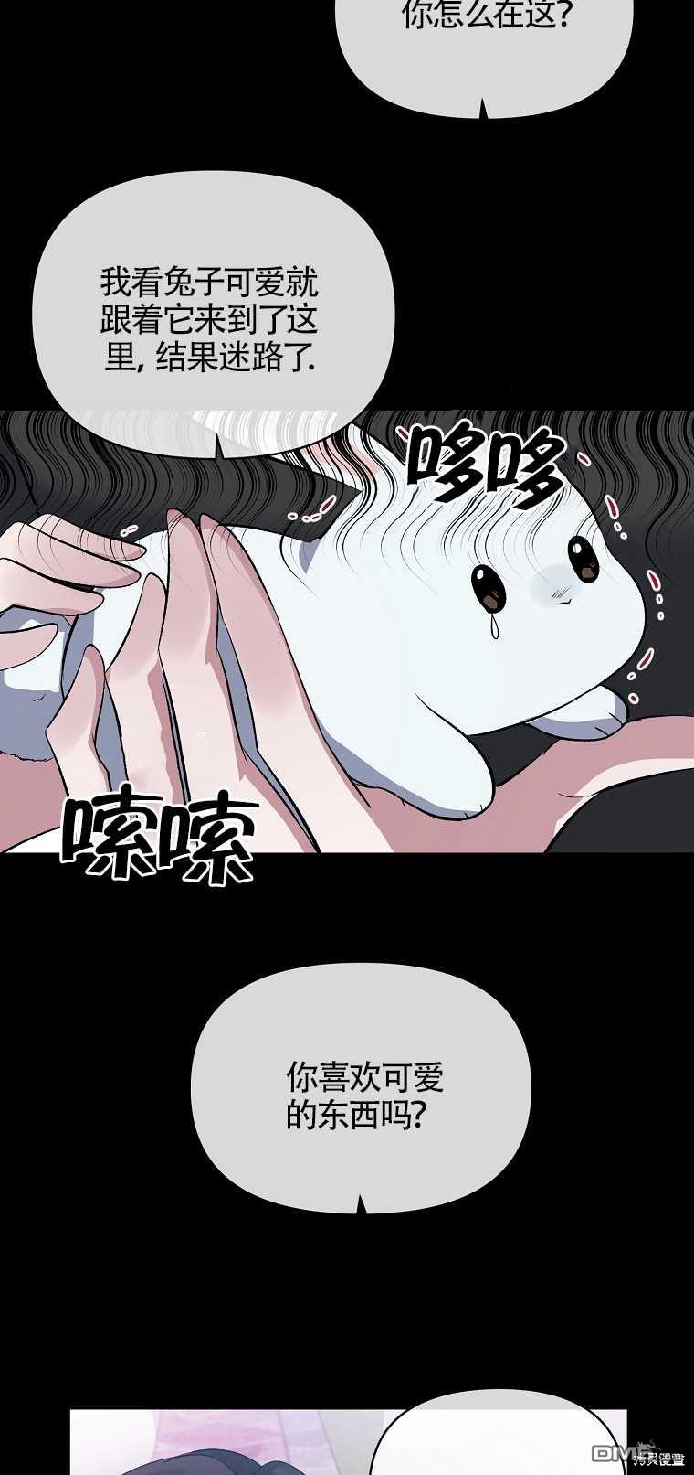 21.jpg