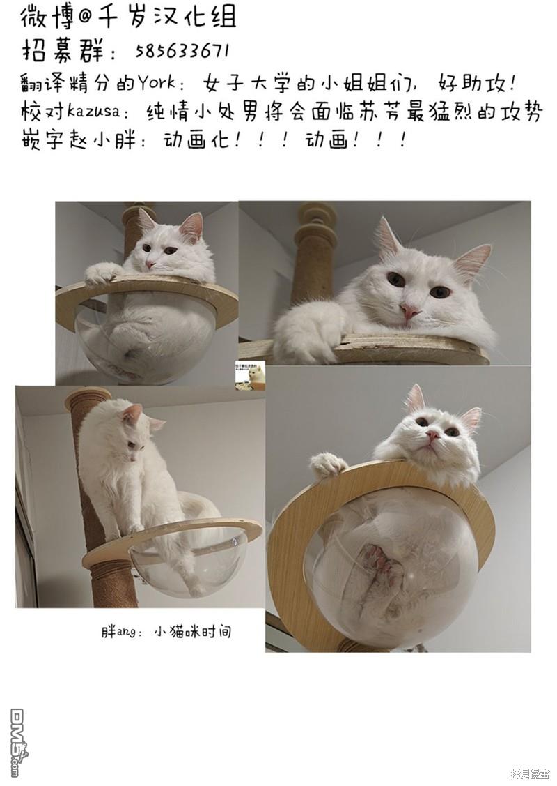 32.jpg