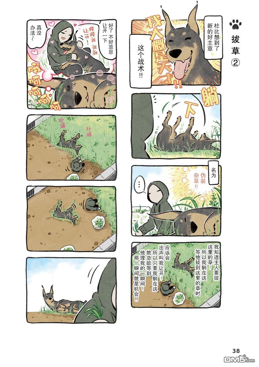 12.jpg