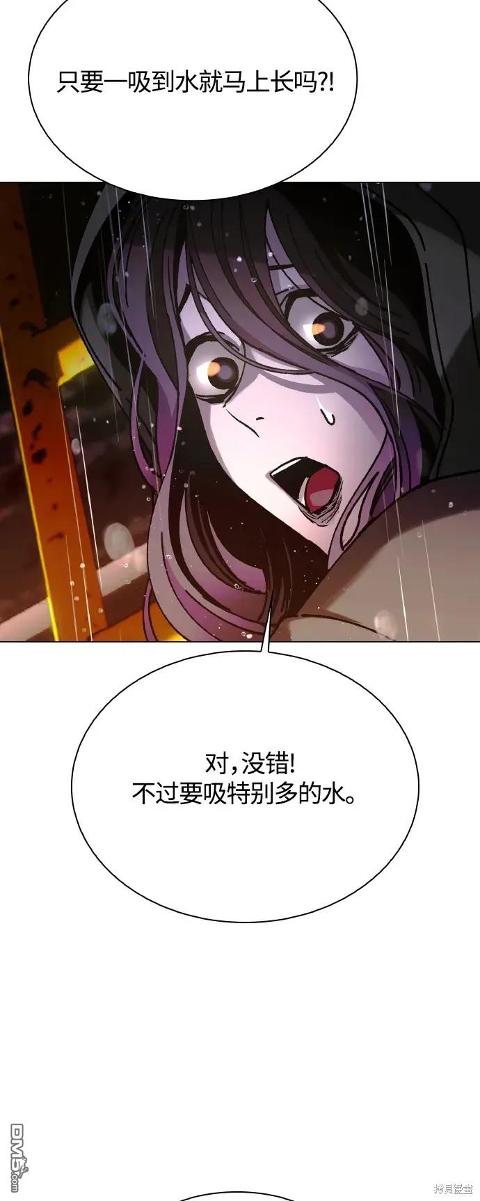 78.jpg