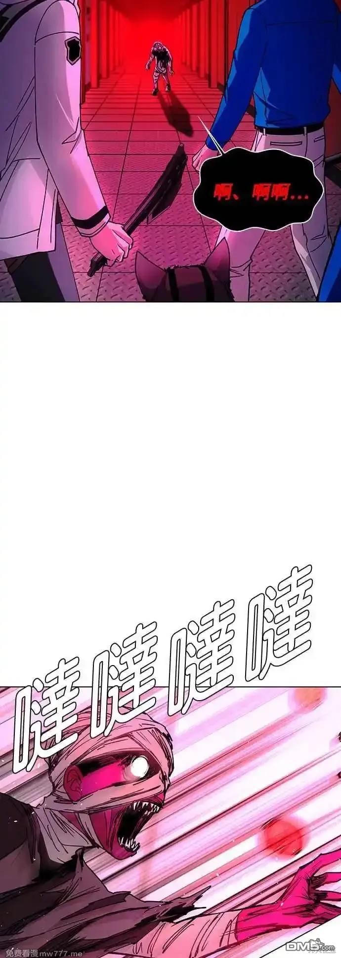 47.jpg