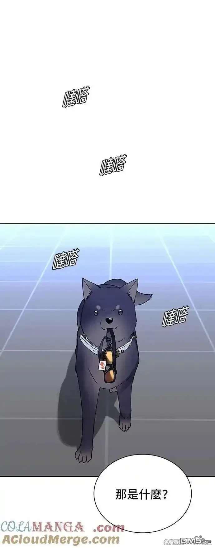 43.jpg