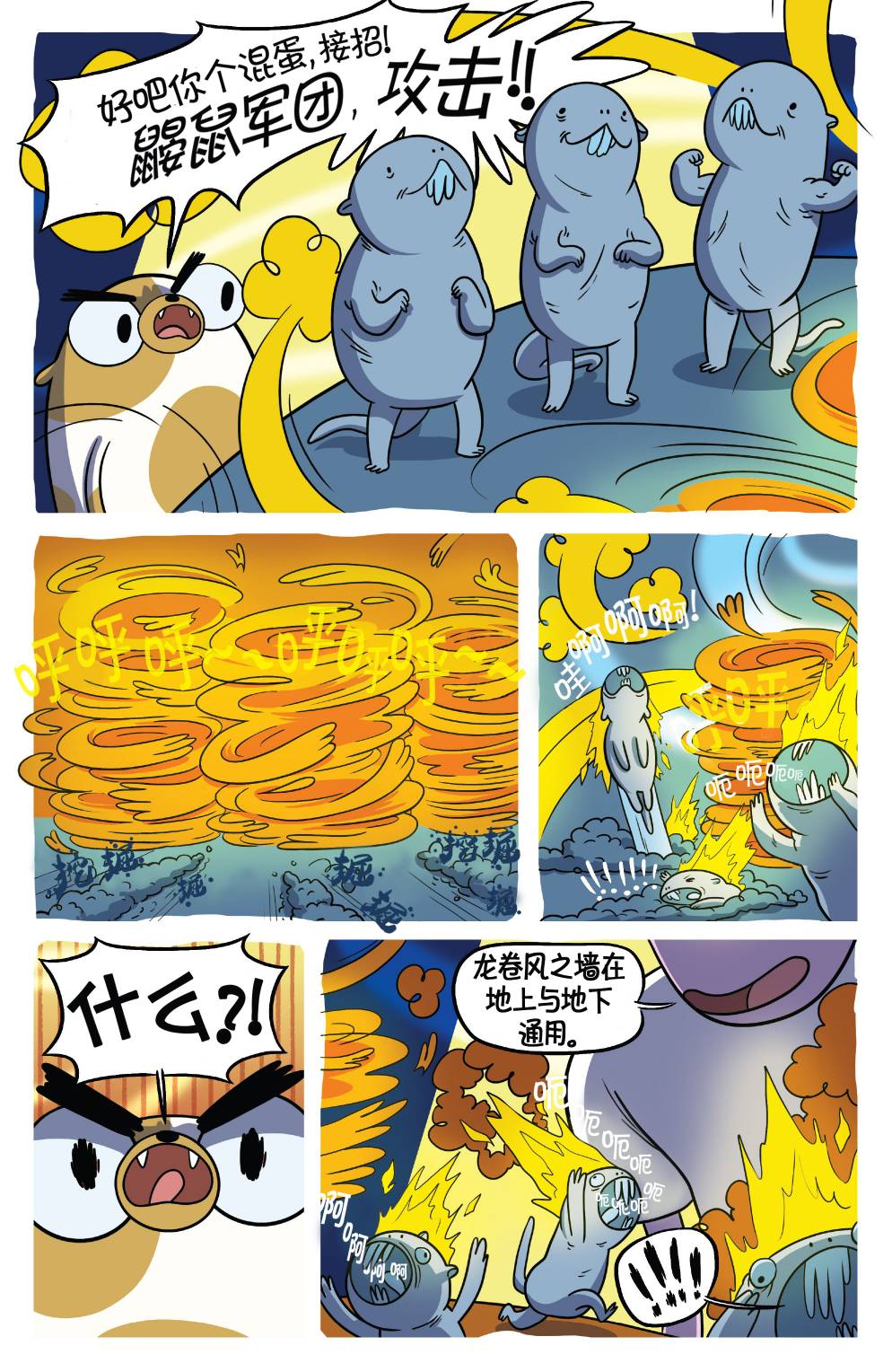 6.jpg