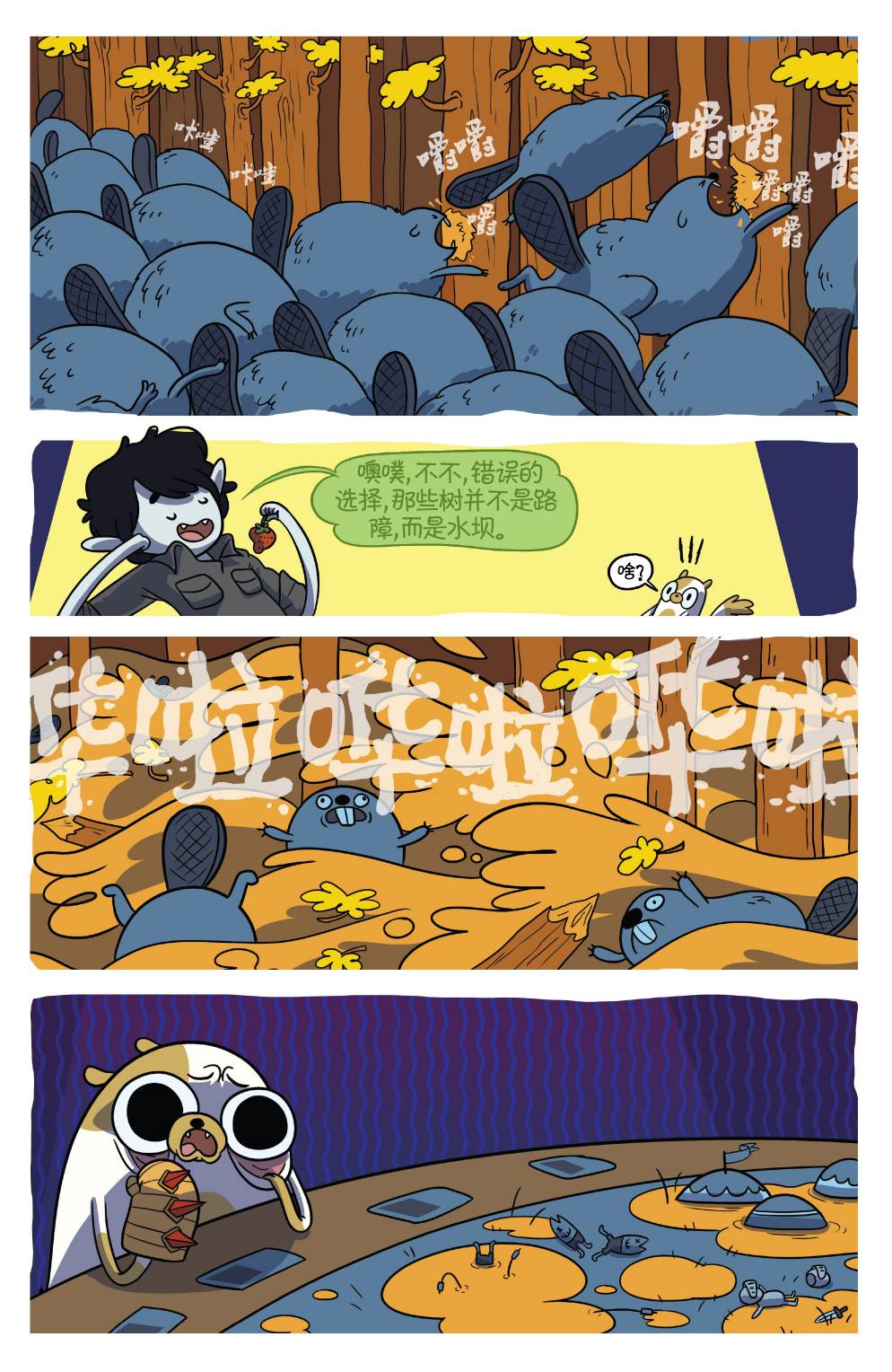 11.jpg
