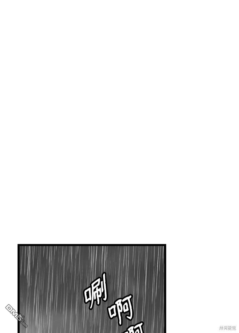 97.jpg