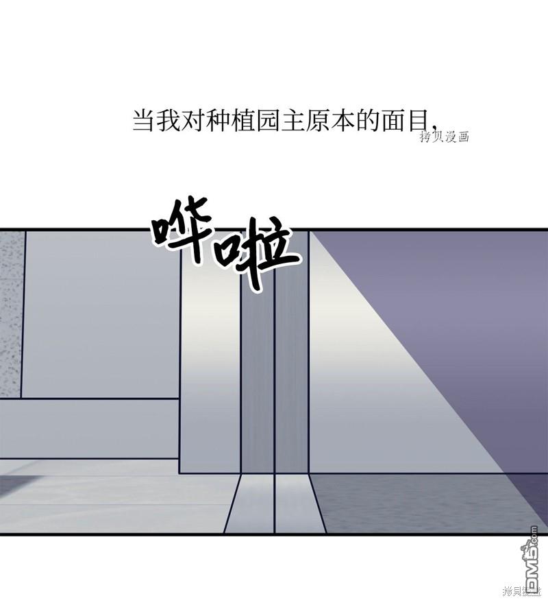 60.jpg
