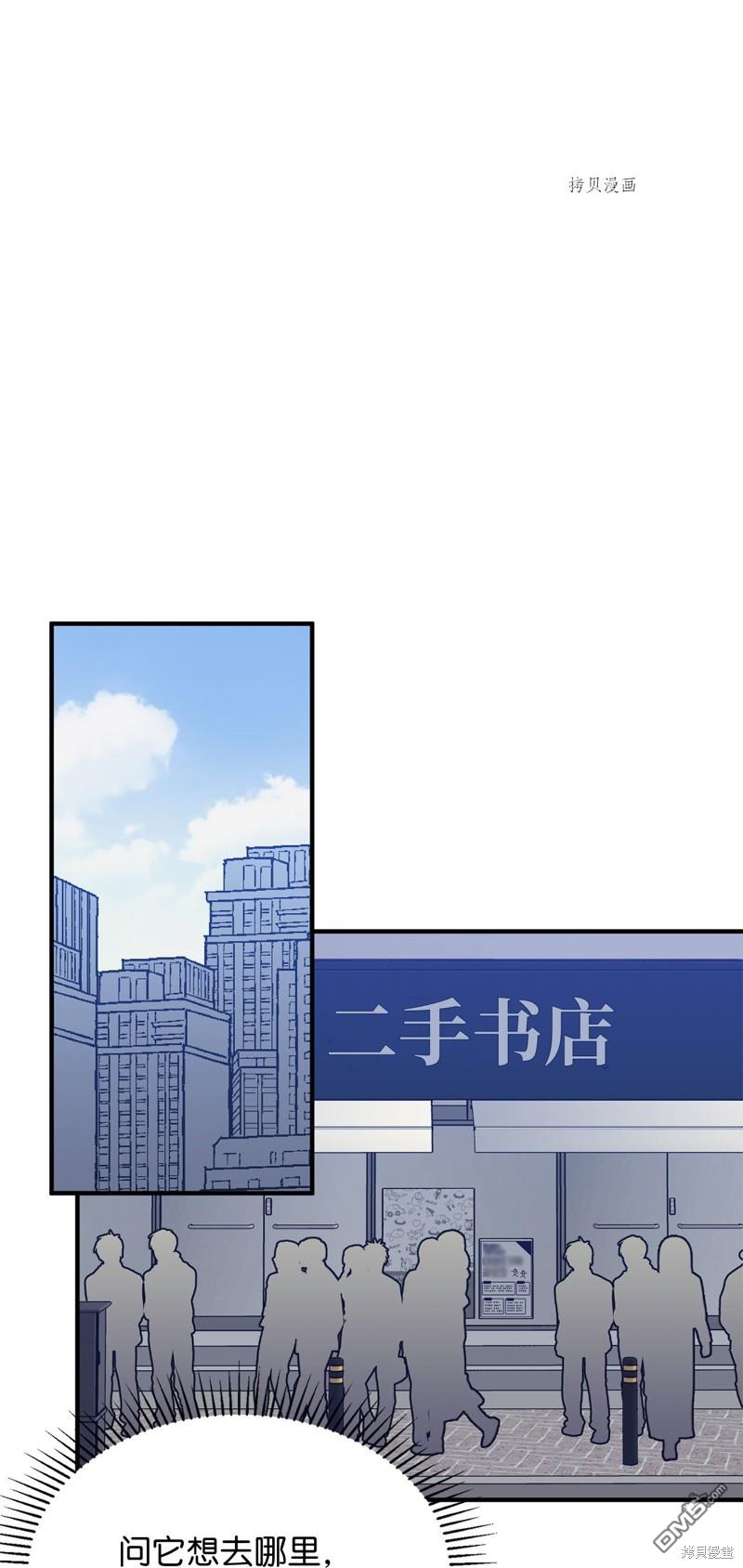 21.jpg
