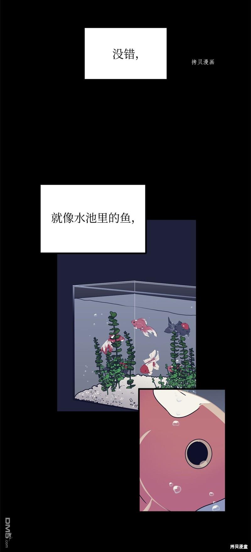 46.jpg
