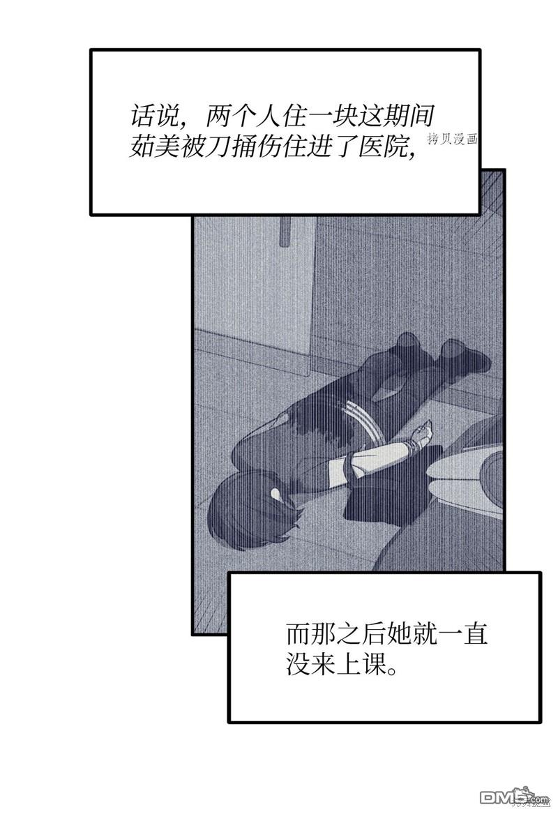 52.jpg