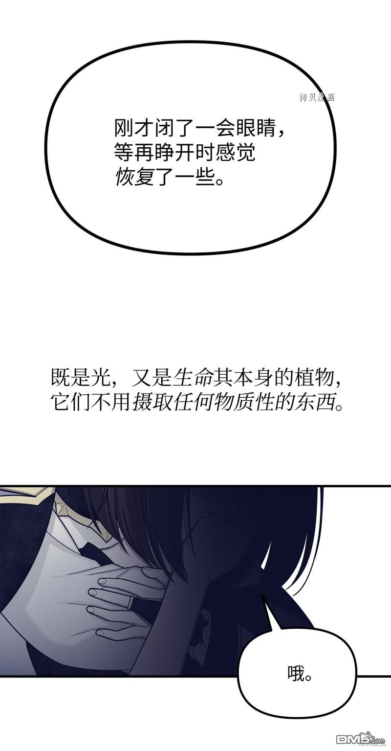 42.jpg