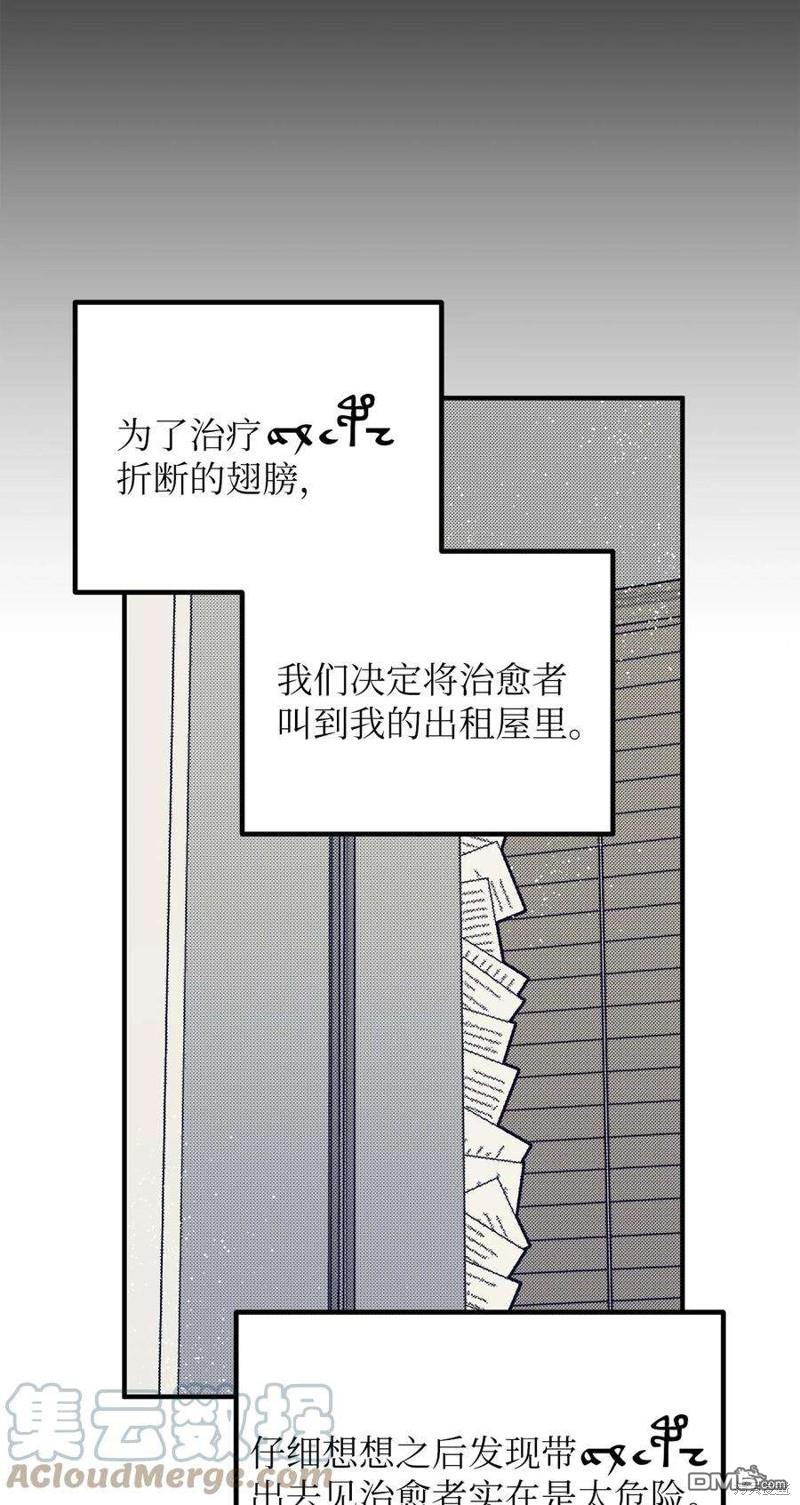 42.jpg