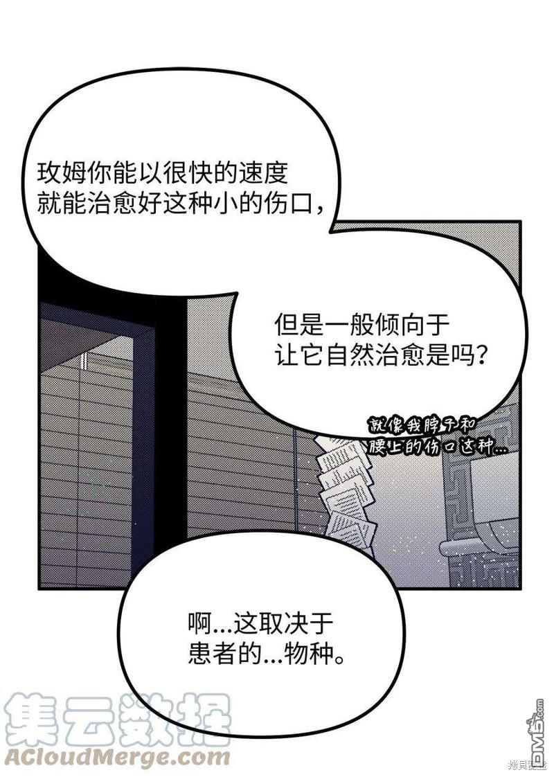 54.jpg