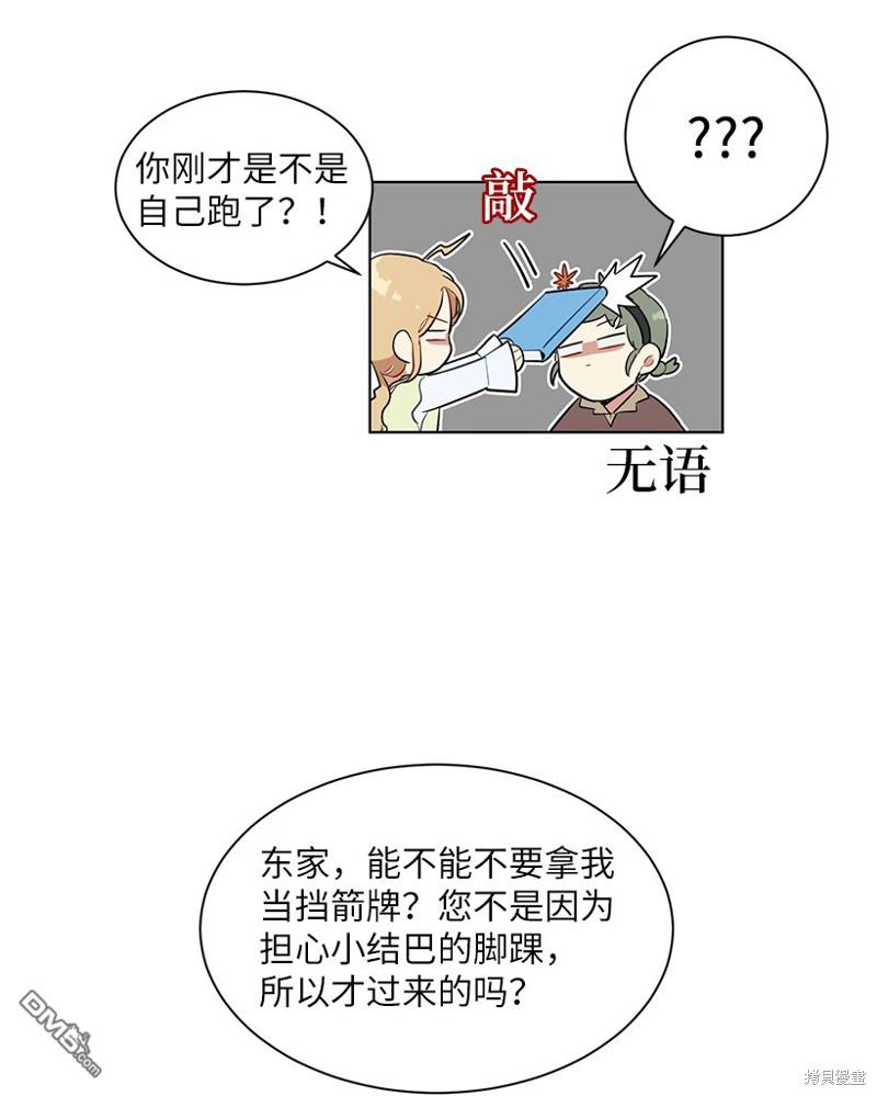 17.jpg