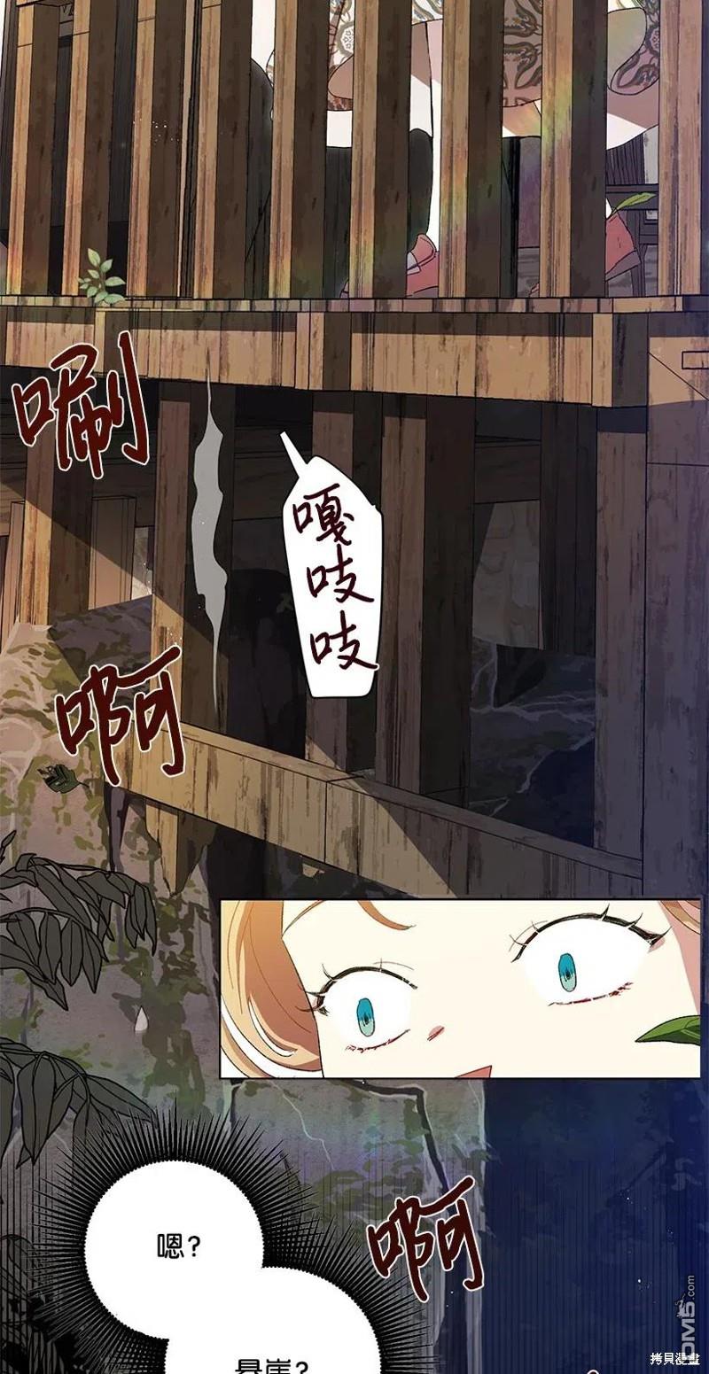 75.jpg