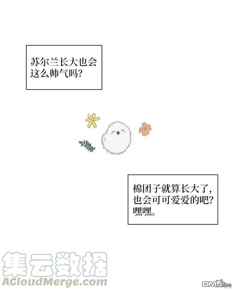 92.jpg