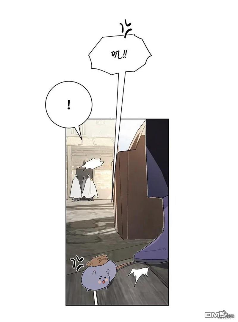 80.jpg