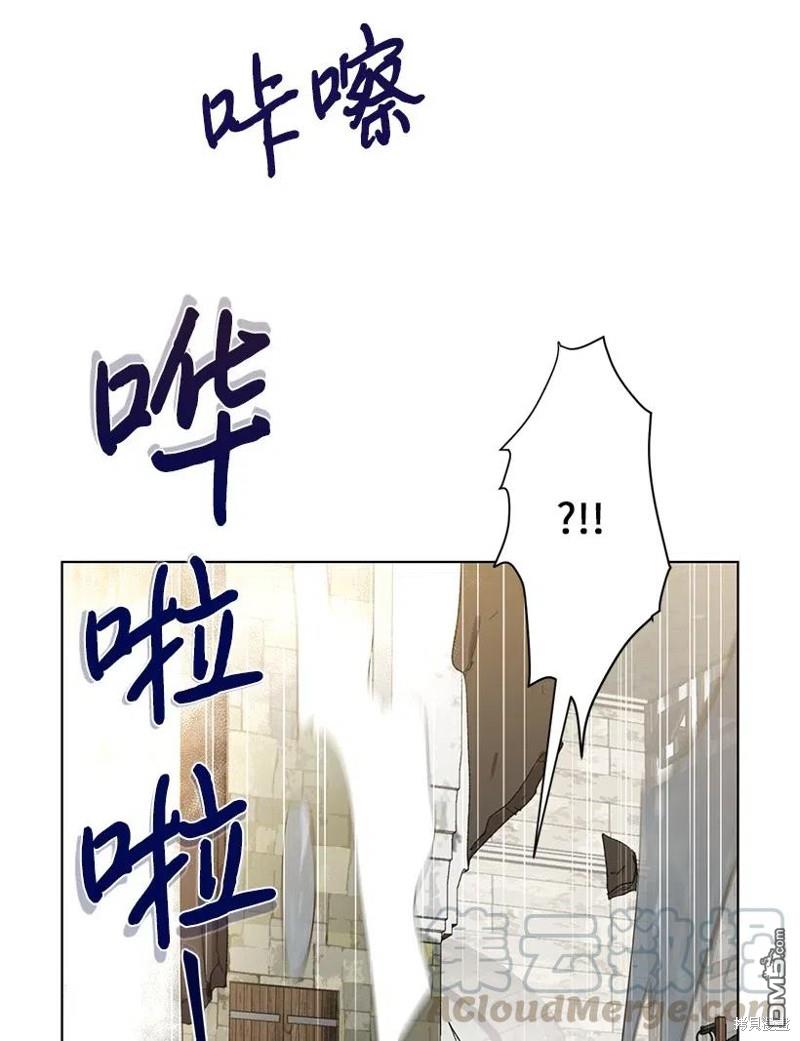 97.jpg