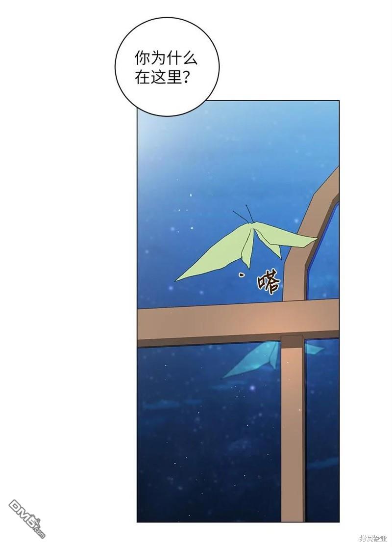 31.jpg