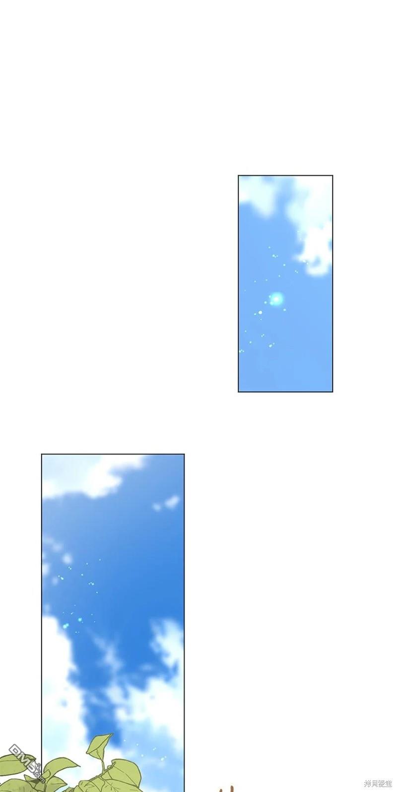 62.jpg