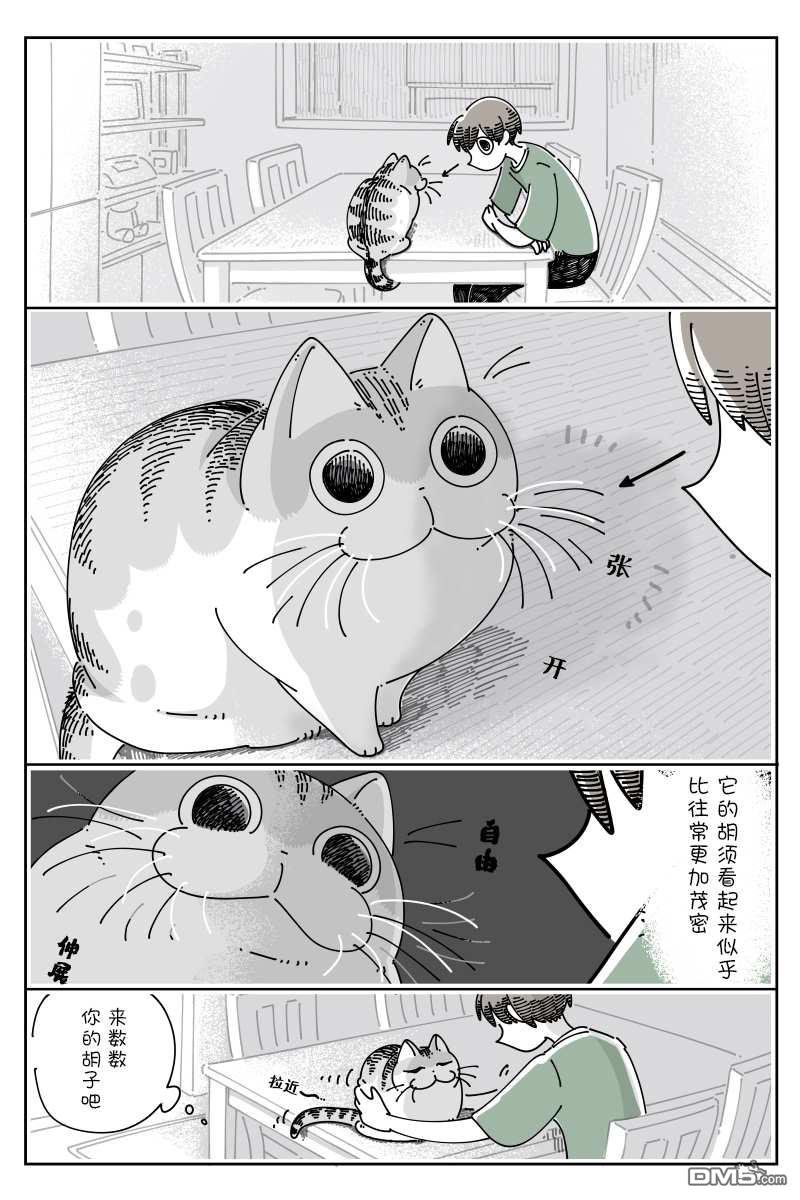 1.jpg