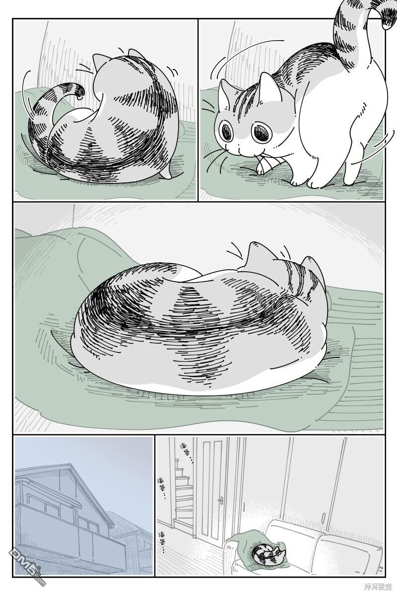 3.jpg