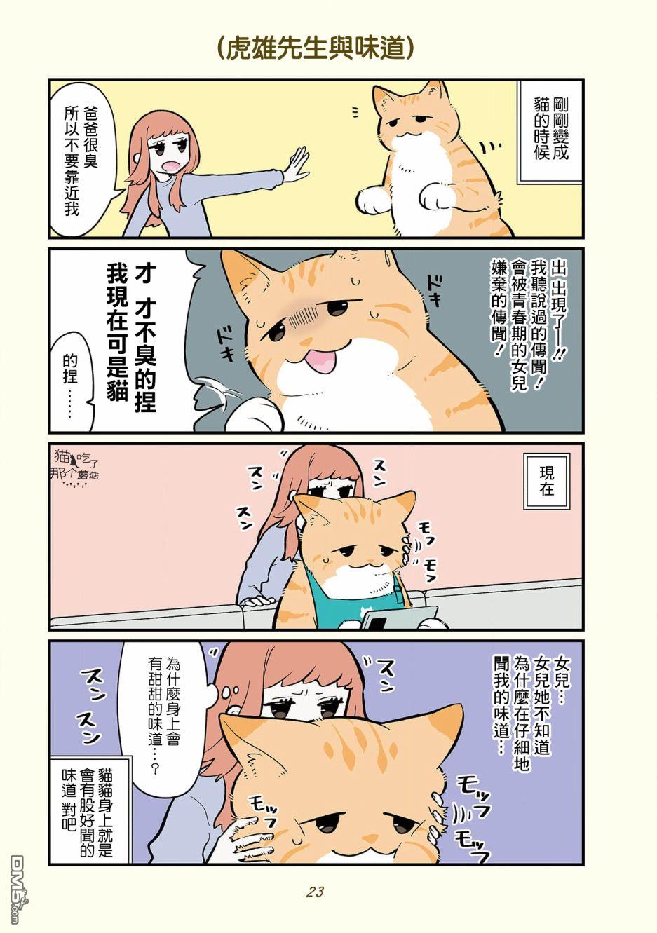 13.jpg