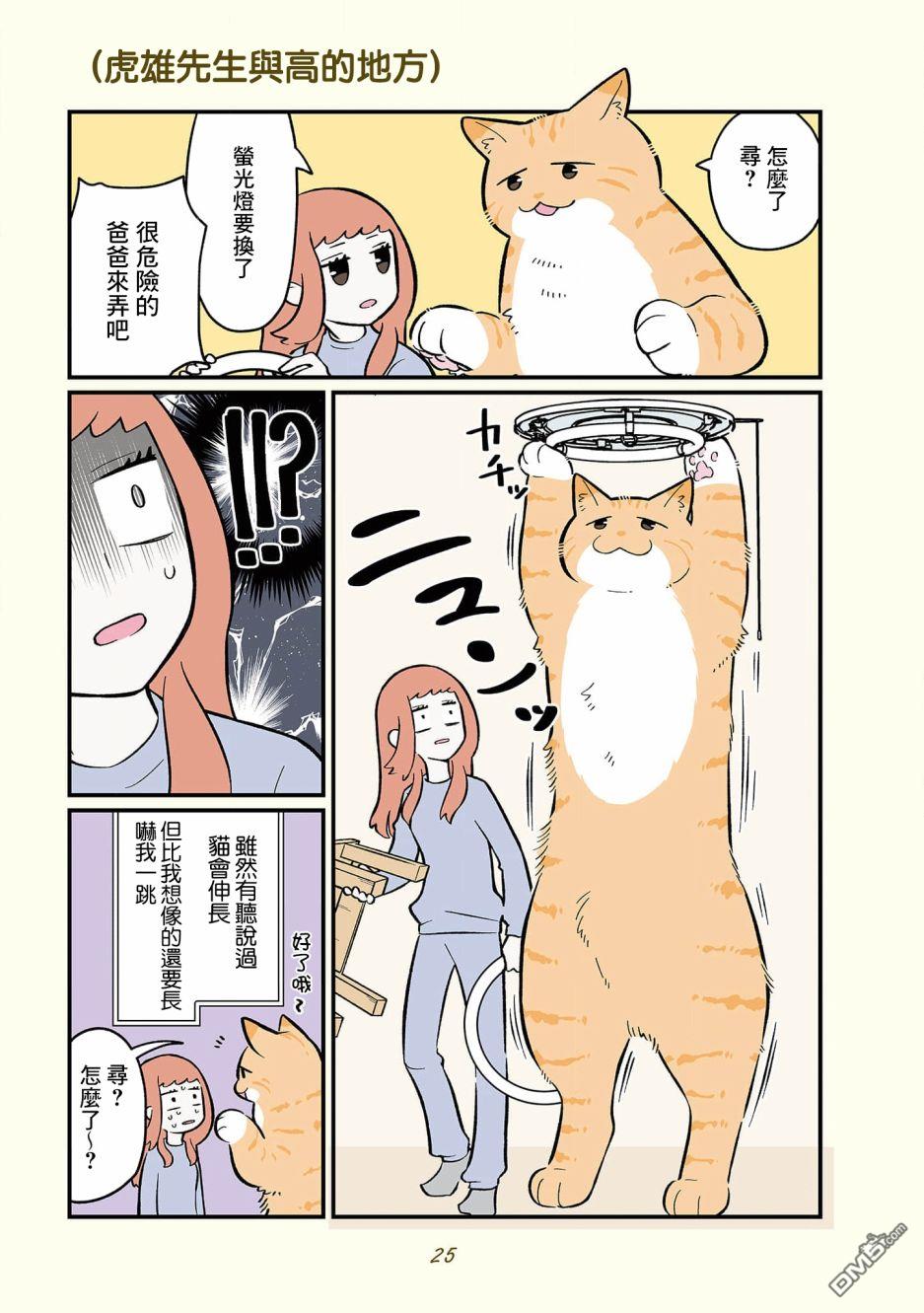 15.jpg