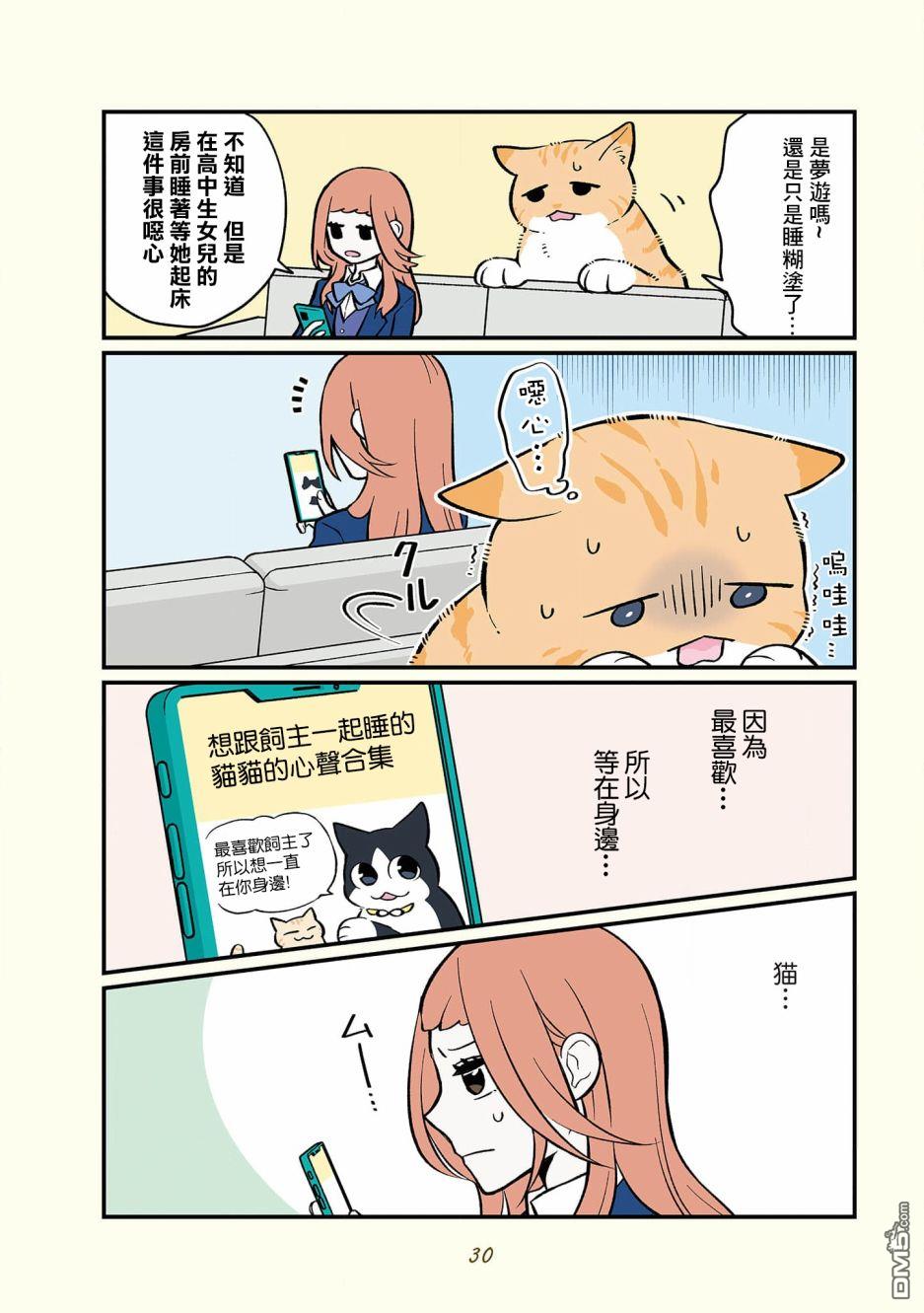 20.jpg