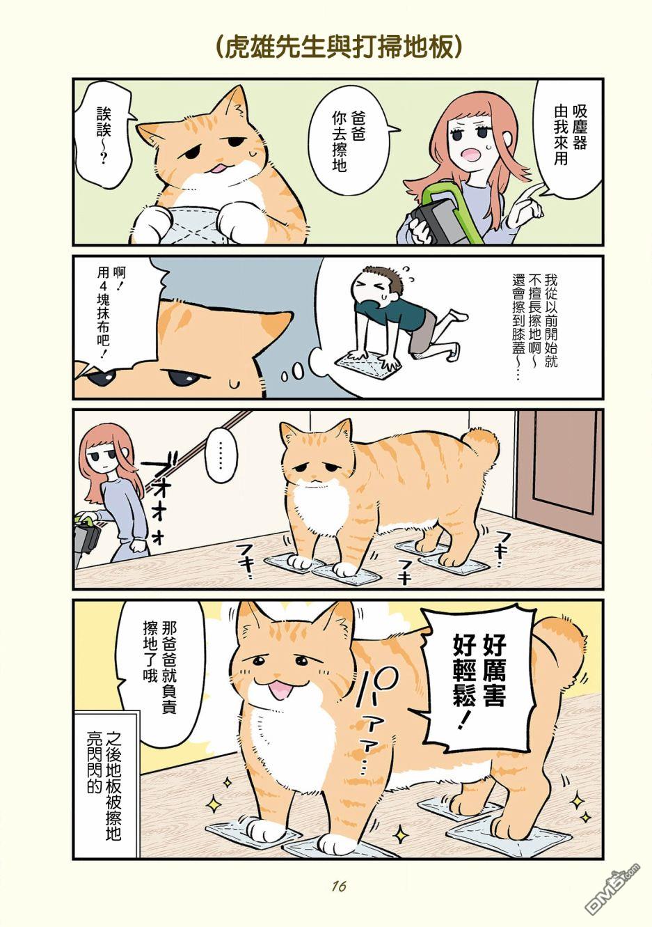 6.jpg