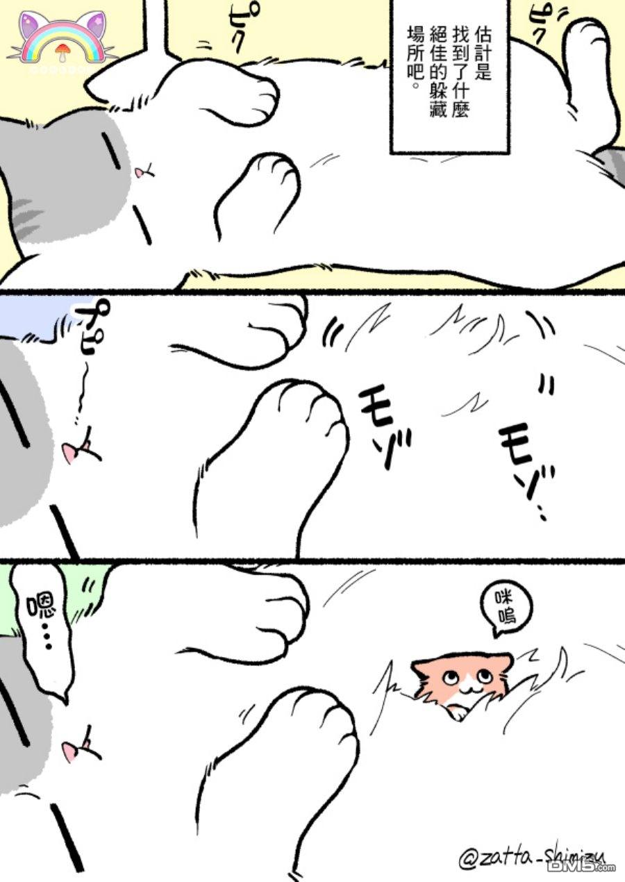 4.jpg