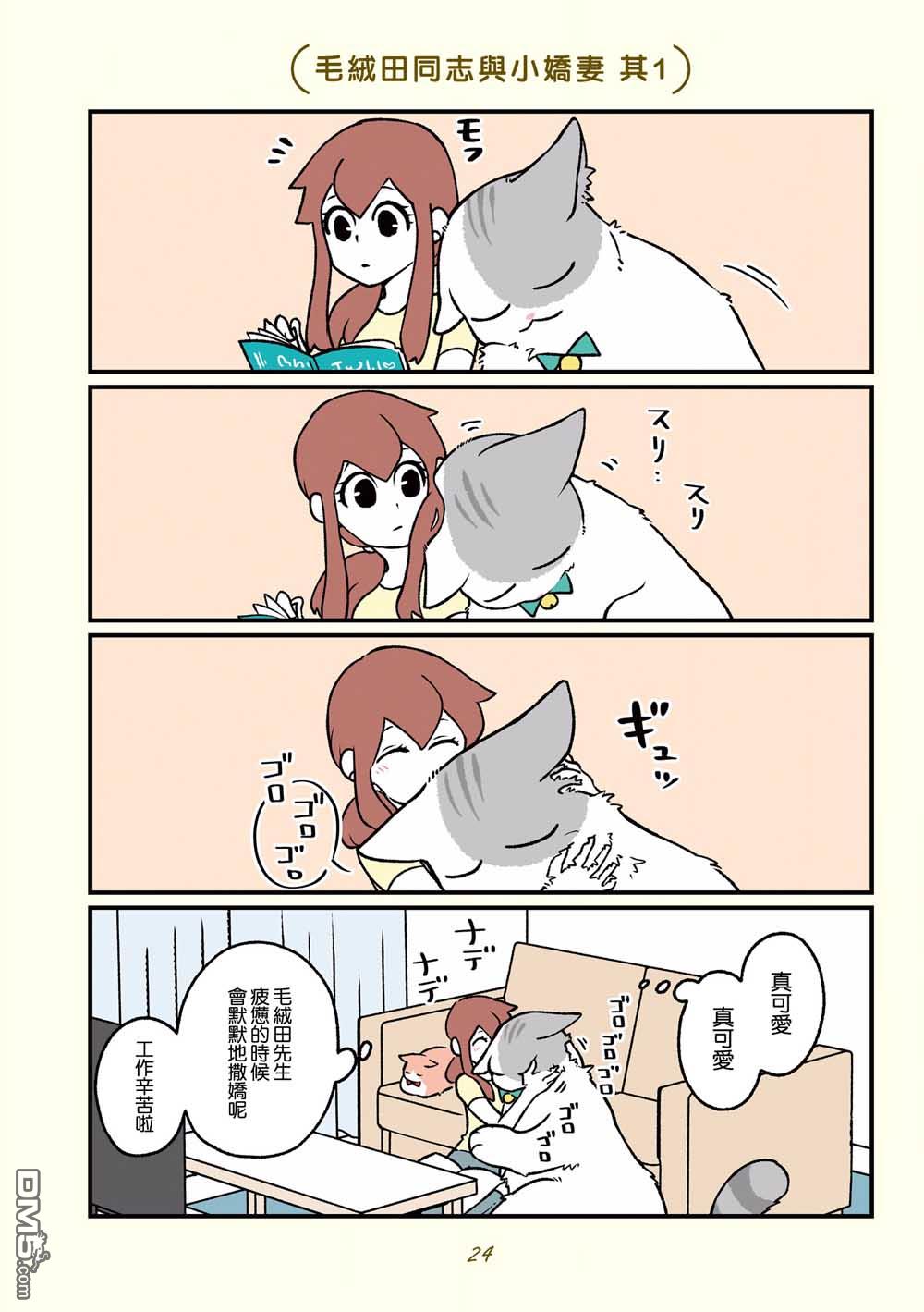 6.jpg