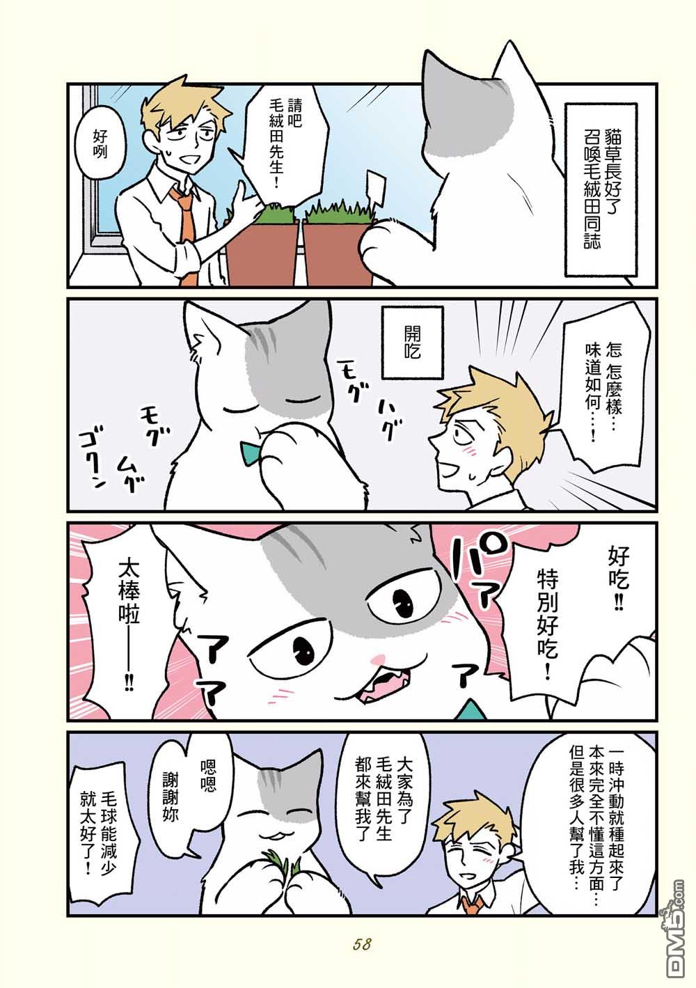5.jpg